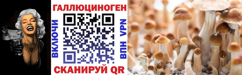 Псилоцибиновые грибы прущие грибы  Моздок 
