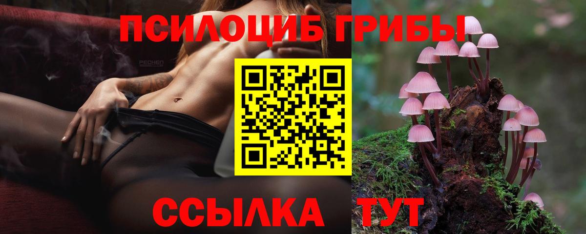 Моздок  Псилоцибиновые грибы Psilocybine cubensis  Вход с VPN 
