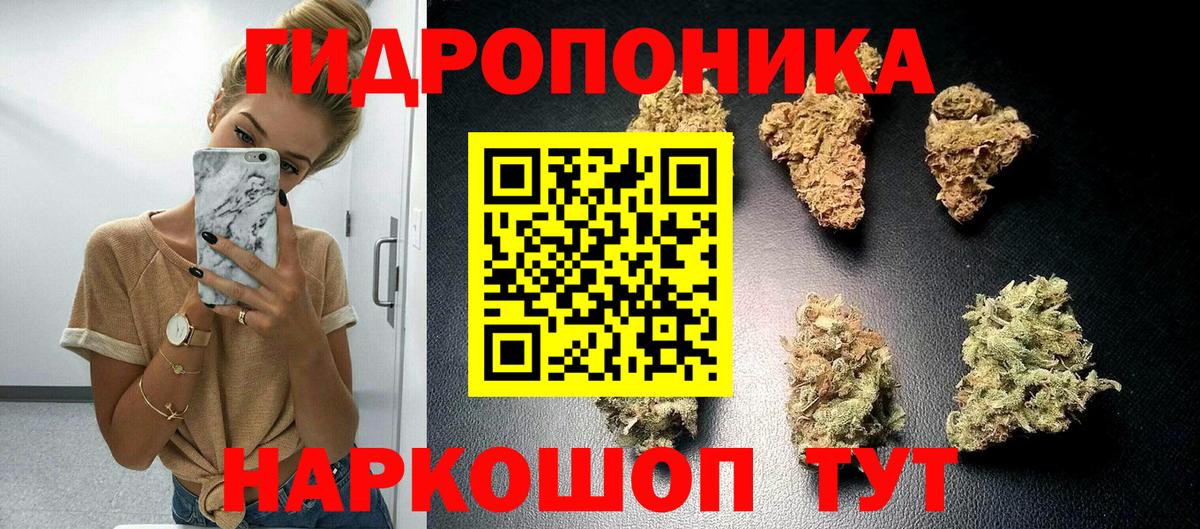 Каннабис White Widow Моздок